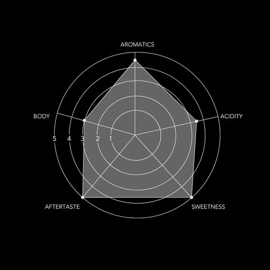 Peru Geisha Natural G1